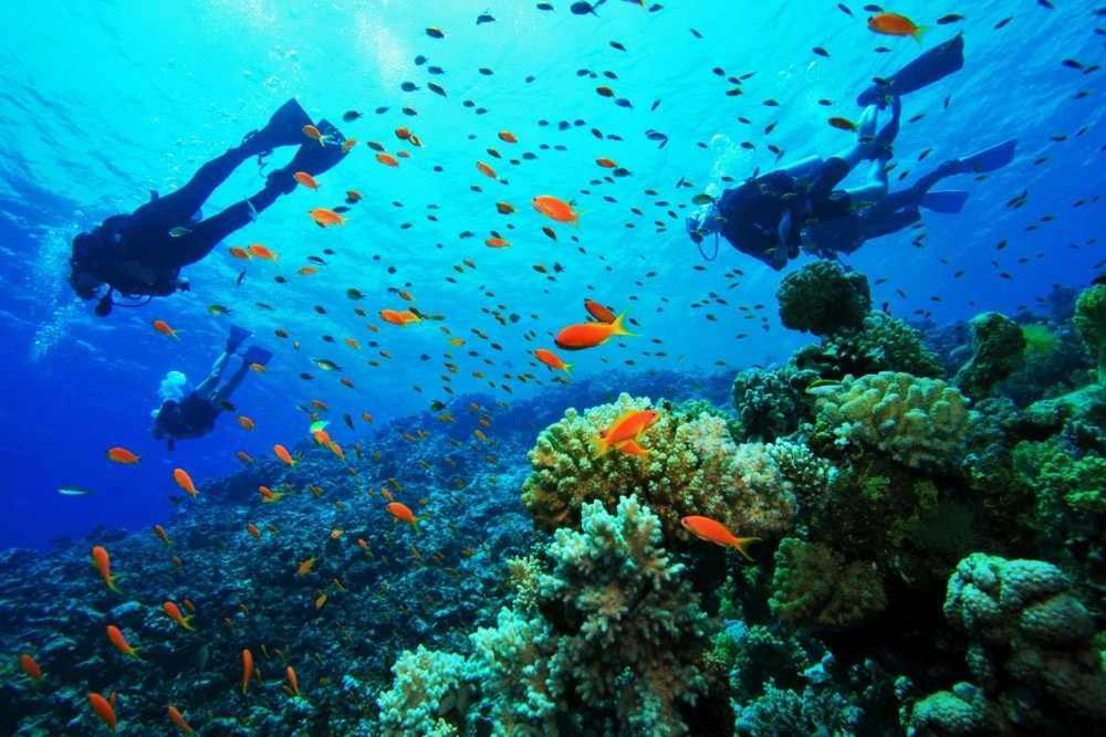 Casa Del Mar Villa Bocas Town Dış mekan fotoğraf